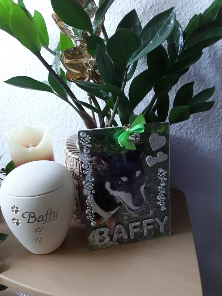 Andachtsbild von Cerstin mit Baffy im Herzen ❤(02.07.20)