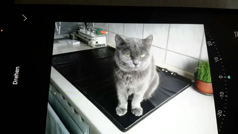 Image from Lilli