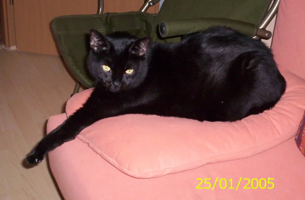 Condolence image of Simone