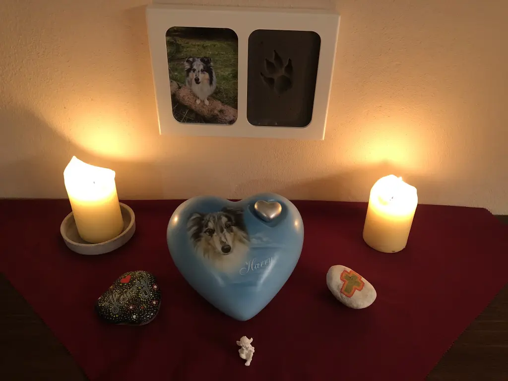 Image from Harry