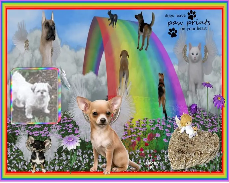 Condolence image of ❤️❤️❤️❤️❤️❤️❤️❤️❤️❤️❤️❤️❤️❤️