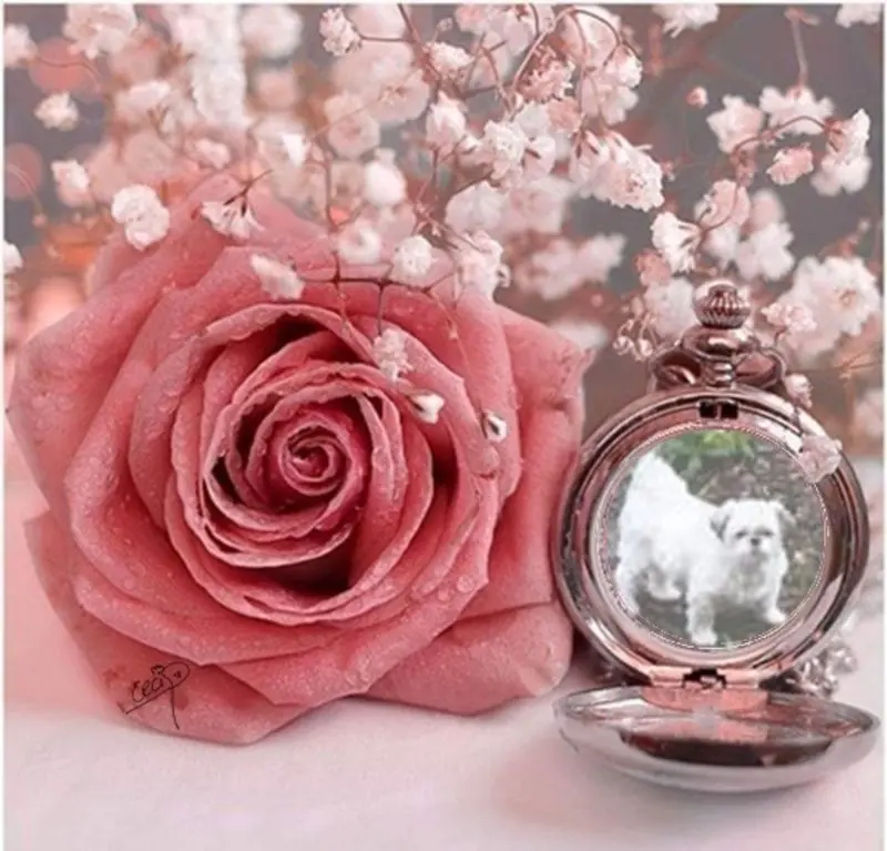 Condolence image of ❤️❤️❤️❤️❤️❤️❤️❤️❤️❤️❤️❤️❤️❤️