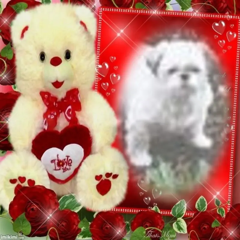 Condolence image of ❤️❤️❤️❤️❤️❤️❤️❤️❤️❤️❤️❤️❤️❤️