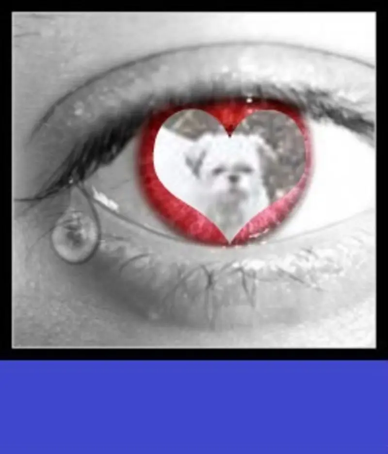 Condolence image of ❤️❤️❤️