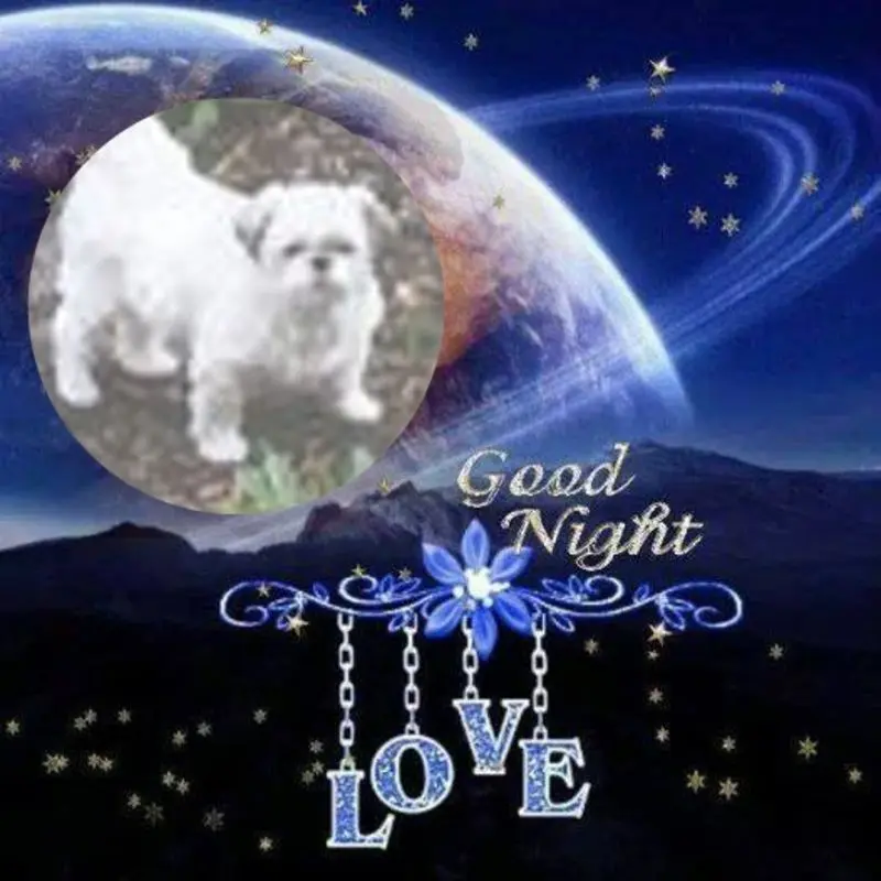 Condolence image of Gute Nacht❤️❤️❤️