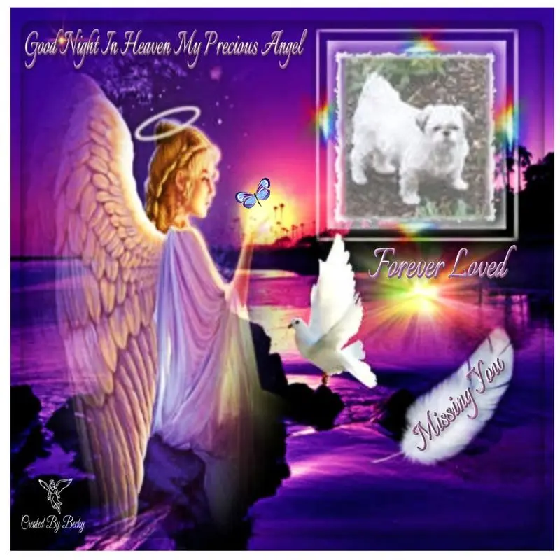 Condolence image of Gute Nacht❤️❤️❤️