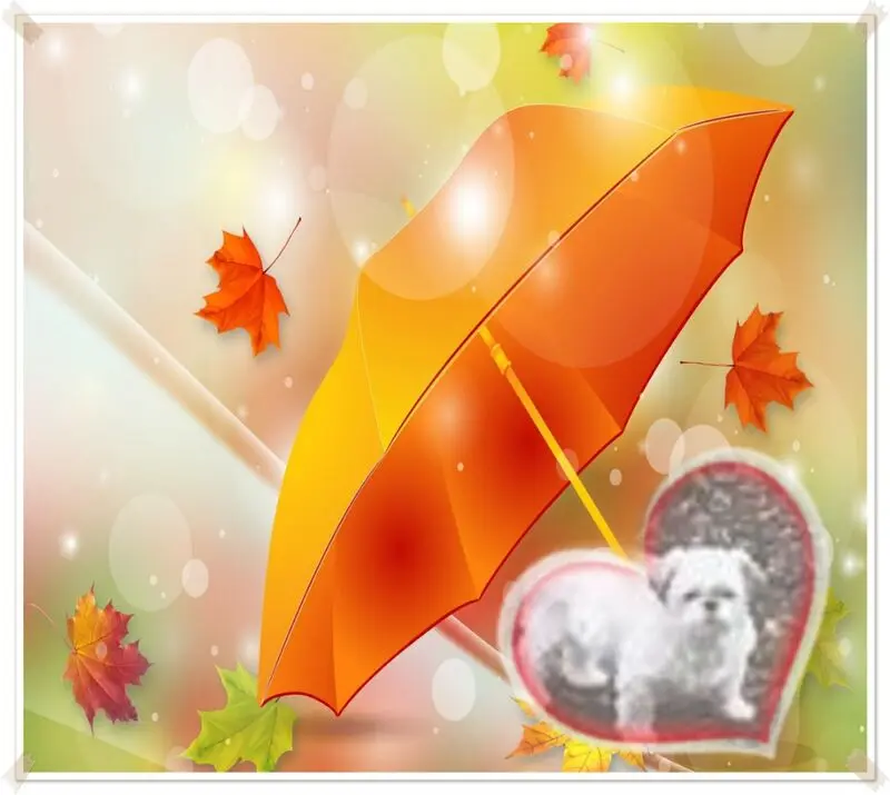 Condolence image of ❤️❤️❤️❤️❤️❤️❤️❤️❤️❤️❤️❤️❤️❤️