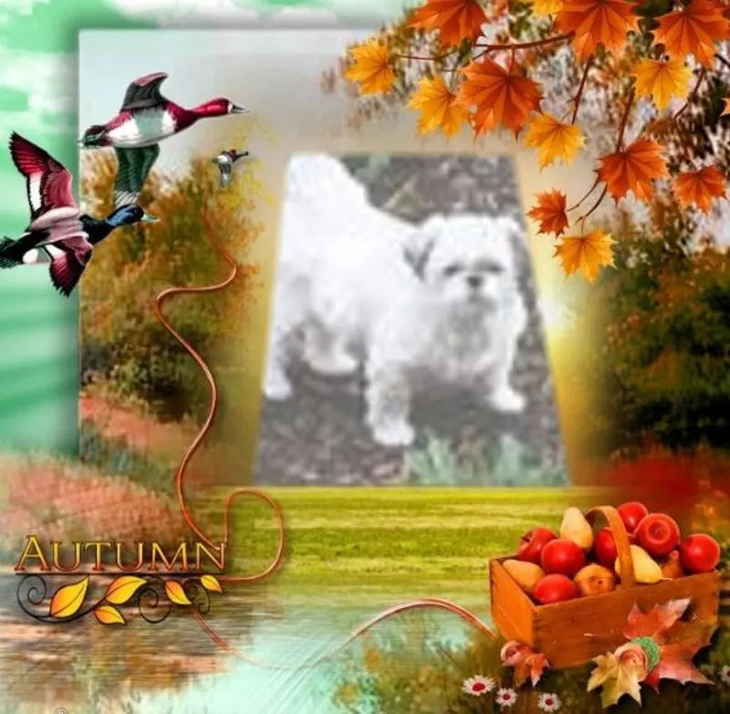 Condolence image of ❤️❤️❤️❤️❤️❤️❤️❤️❤️❤️❤️❤️❤️❤️