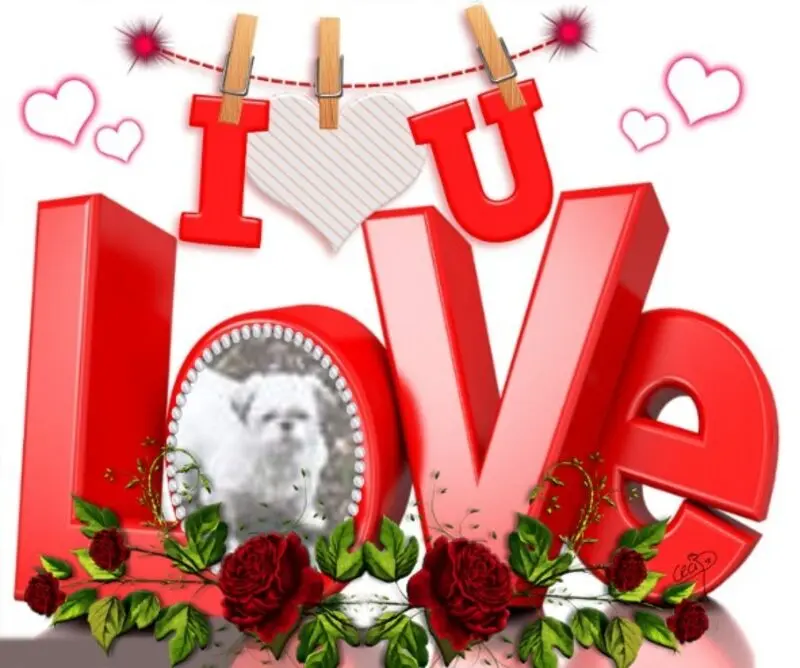 Condolence image of Sonntags❤️Rosen❤️❤️❤️❤️❤️❤️