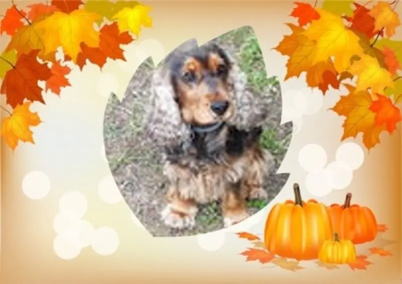 Condolence image of Guten Morgen❤️❤️❤️