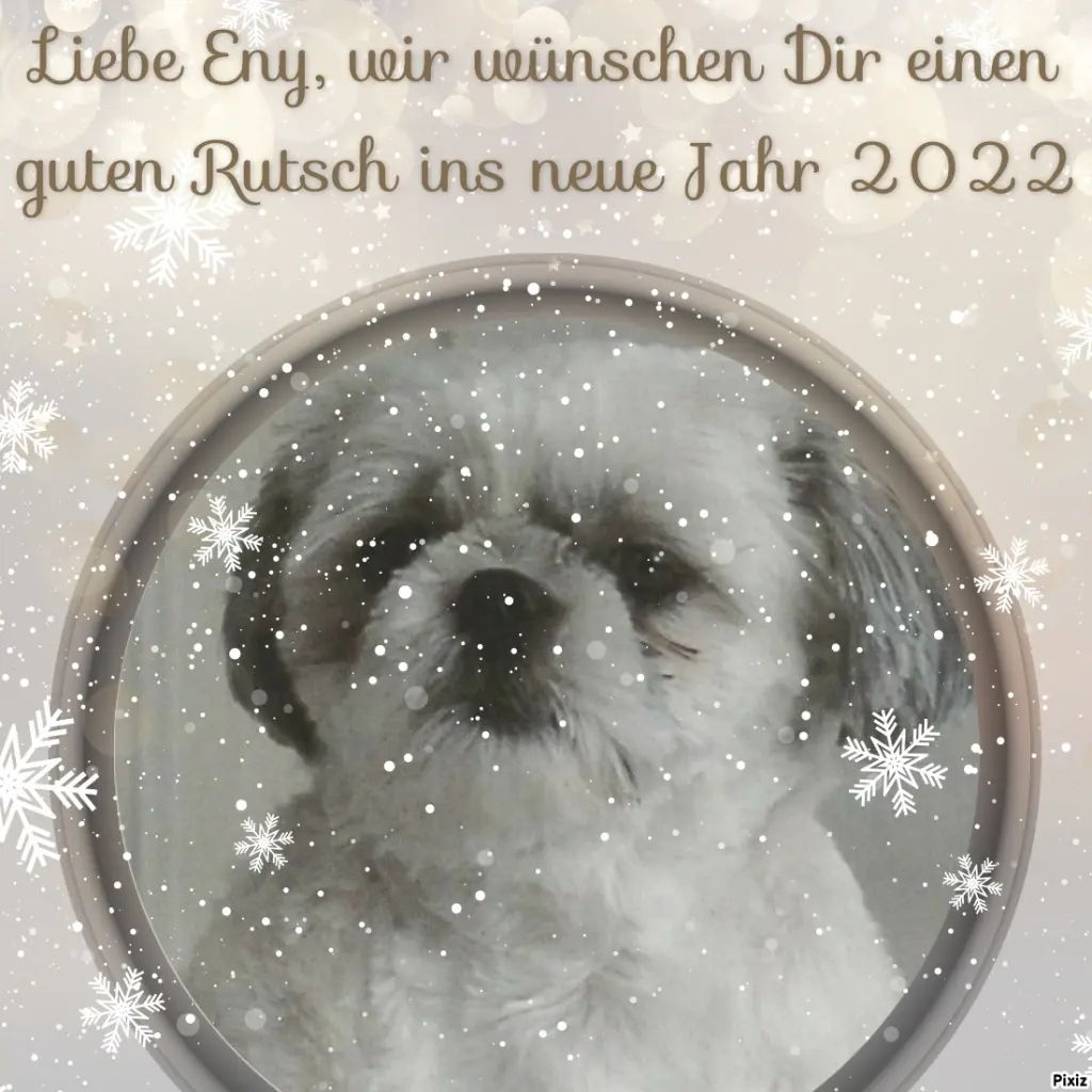 Condolence image of Tanja mit Timmy im Herzen 