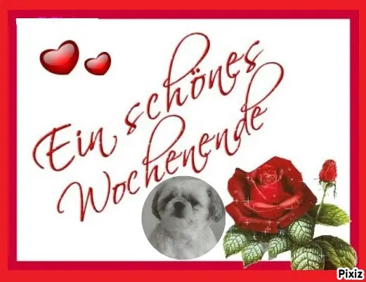 Condolence image of Tanja mit Timmy im Herzen 