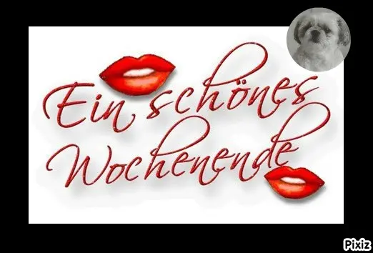 Condolence image of Tanja mit Timmy im Herzen 