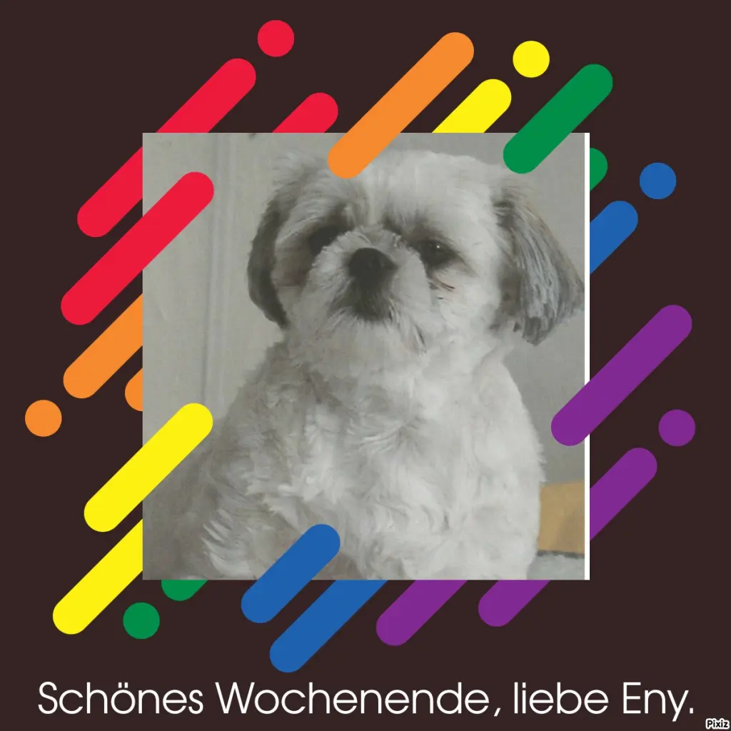 Condolence image of Tanja mit Timmy im Herzen 