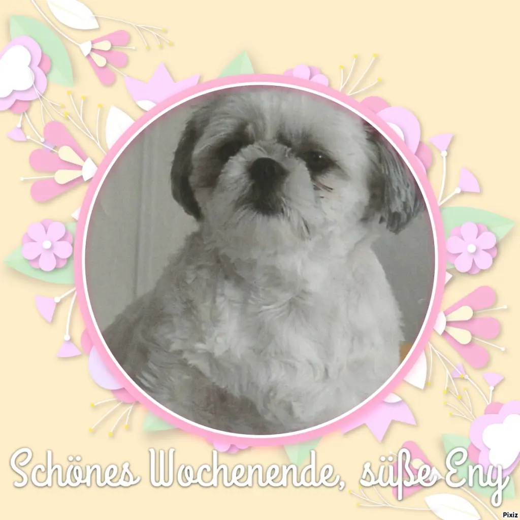 Condolence image of Tanja mit Timmy im Herzen