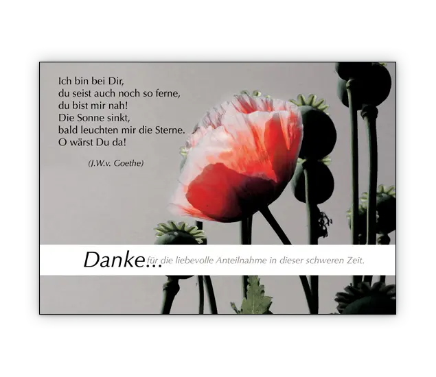 Condolence image of Tanja mit Timmy im Herzen