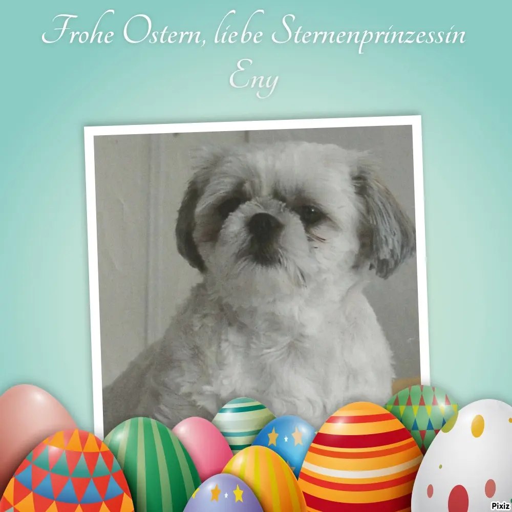 Condolence image of Tanja mit Timmy im Herzen 