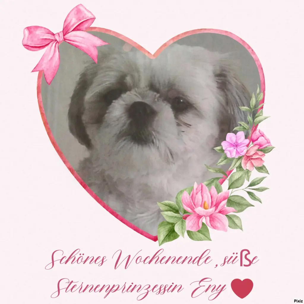 Condolence image of Tanja mit Timmy im Herzen