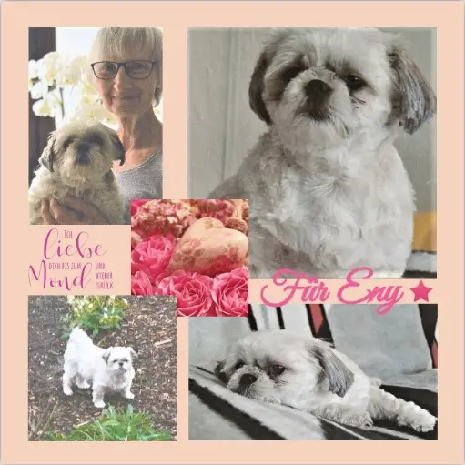 Condolence image of Rosen für Eny zum 2. Sternchen-Gedenktag