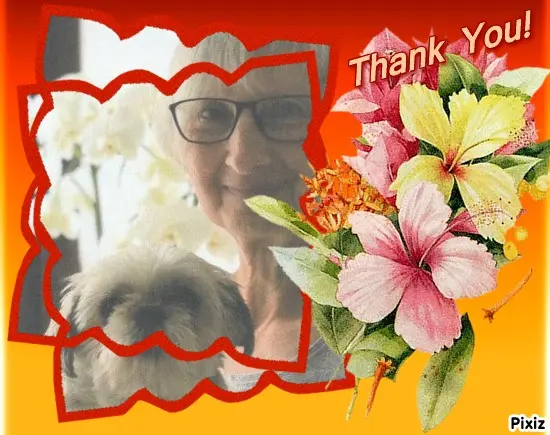 Condolence image of Tanja mit Timmy im Herzen 