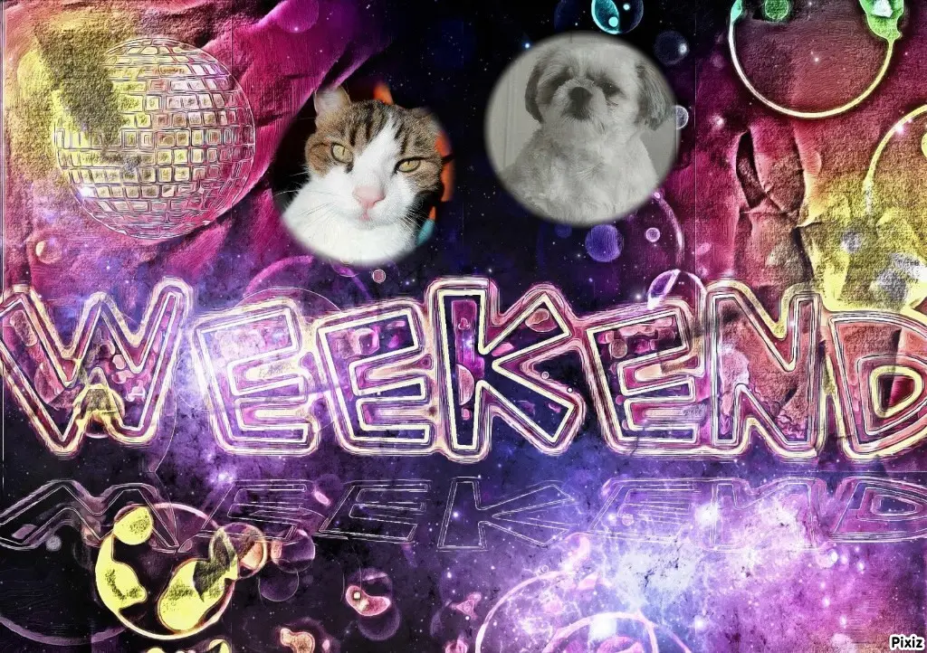 Condolence image of Tanja mit Timmy im Herzen