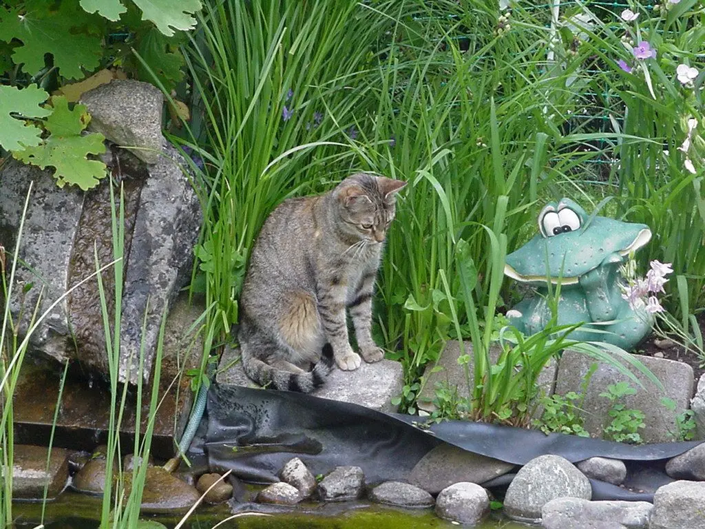 Condolence image of Marple