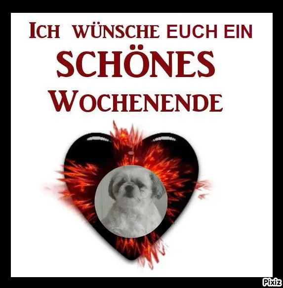 Condolence image of Tanja mit Timmy im Herzen