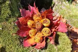 Condolence image of Elisabeth mit Marple im ♥