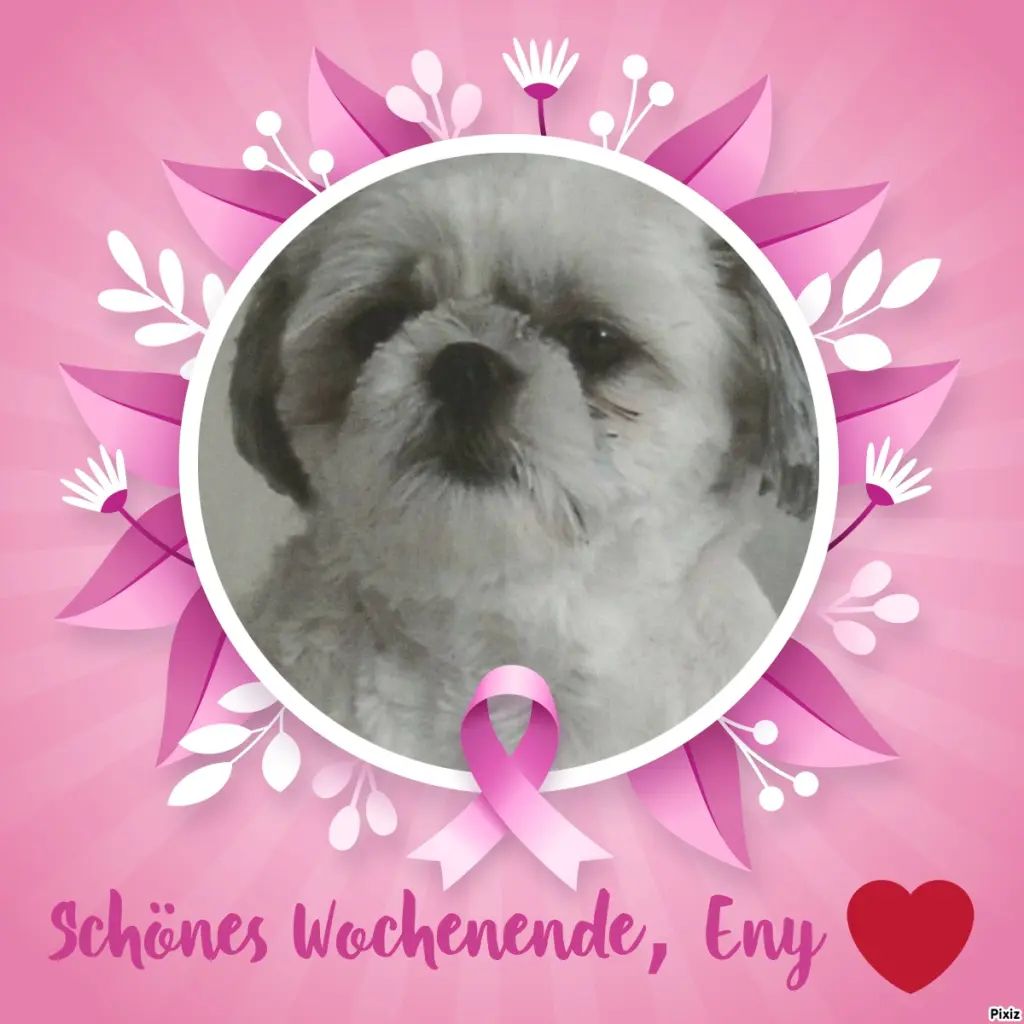 Condolence image of Tanja mit Timmy im Herzen 