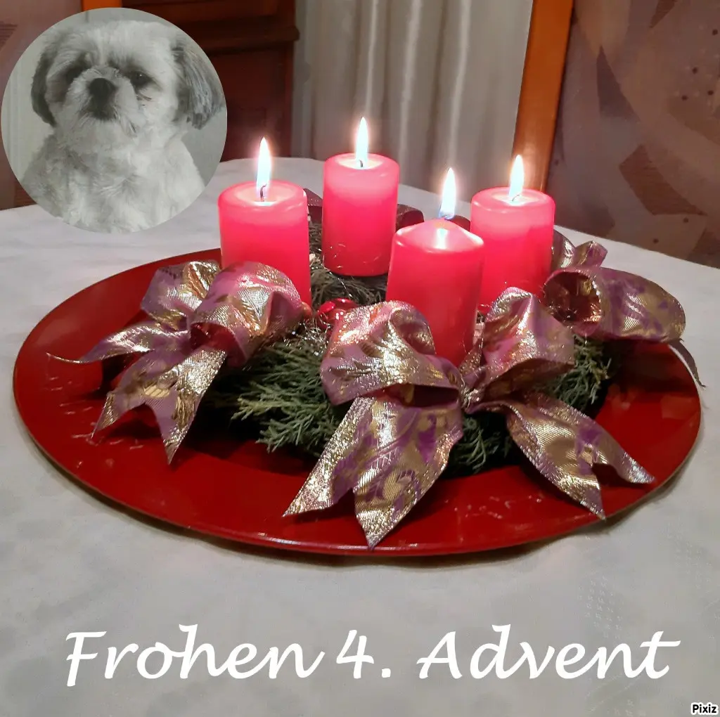 Condolence image of Tanja mit Timmy im Herzen 