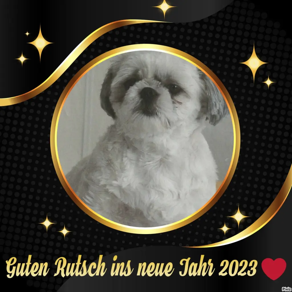 Condolence image of Tanja mit Timmy im Herzen 