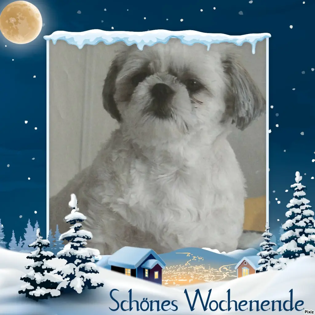 Condolence image of Tanja mit Timmy im Herzen 