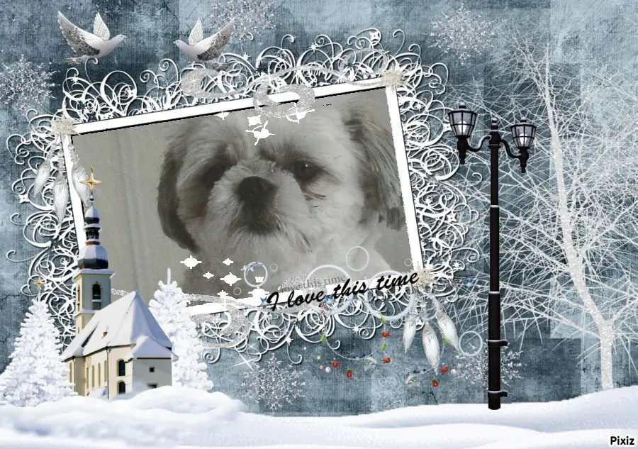 Condolence image of Tanja mit Timmy im Herzen 