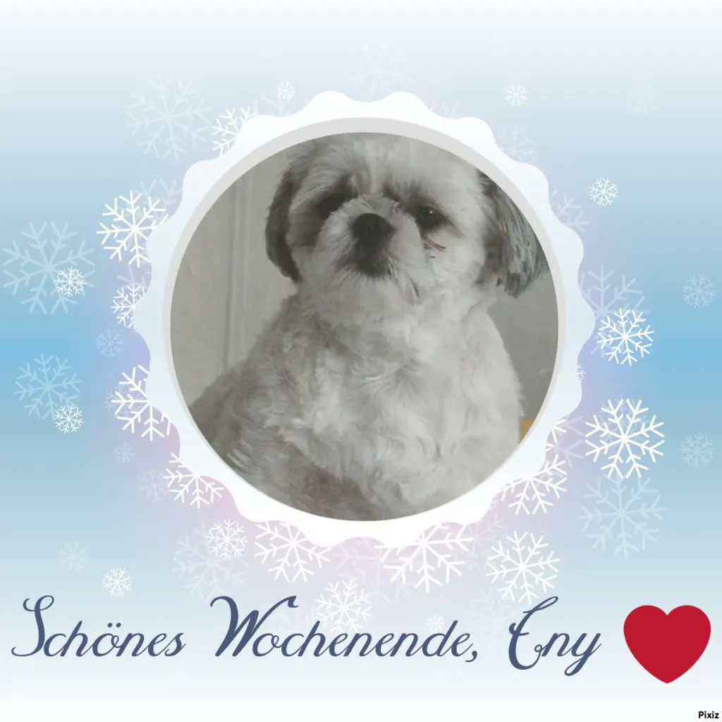 Condolence image of Tanja mit Timmy im Herzen 