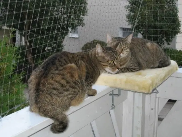 Condolence image of für den Engel Eny ♥ von Christie