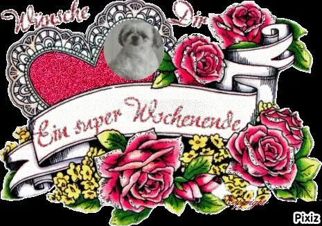 Condolence image of Tanja mit Timmy im Herzen 