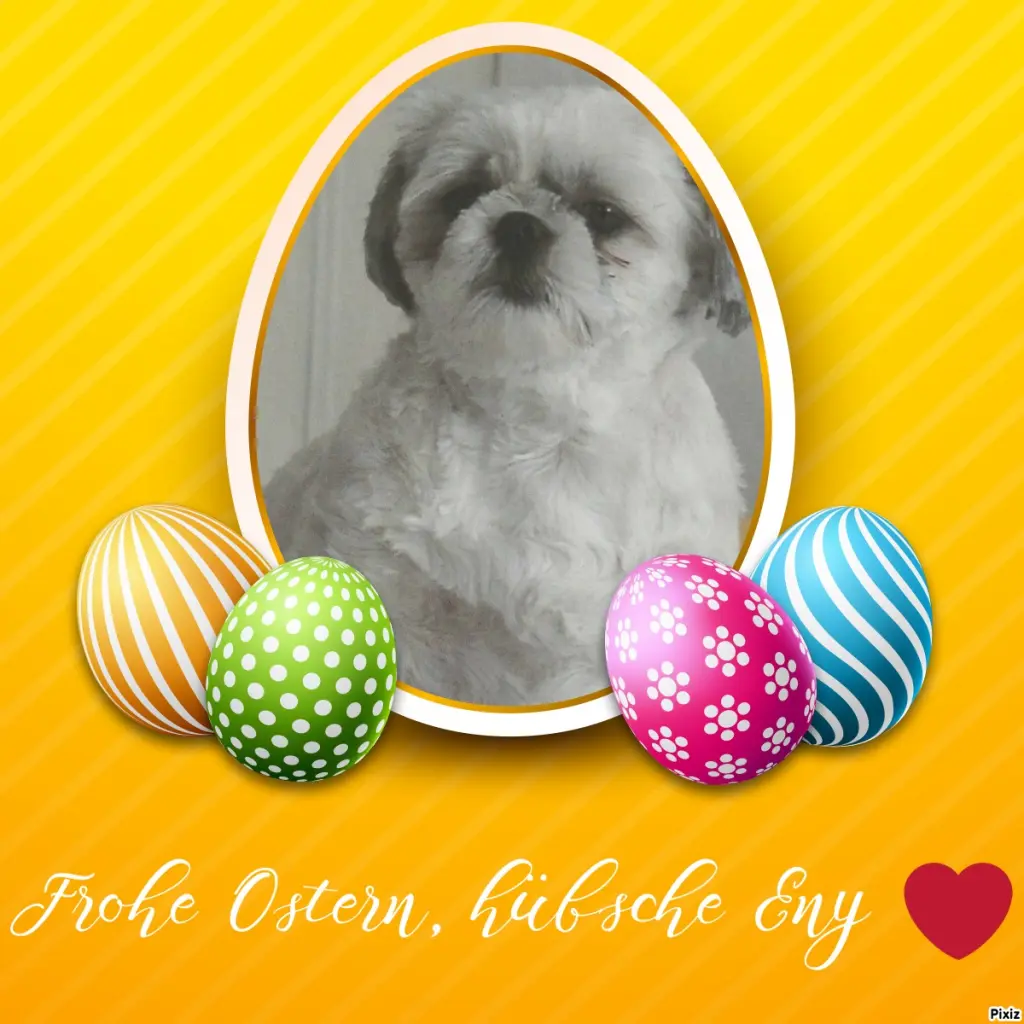 Condolence image of Tanja mit Timmy im Herzen