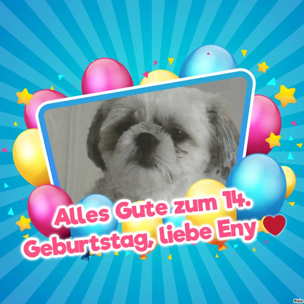 Condolence image of Tanja mit Timmy im Herzen