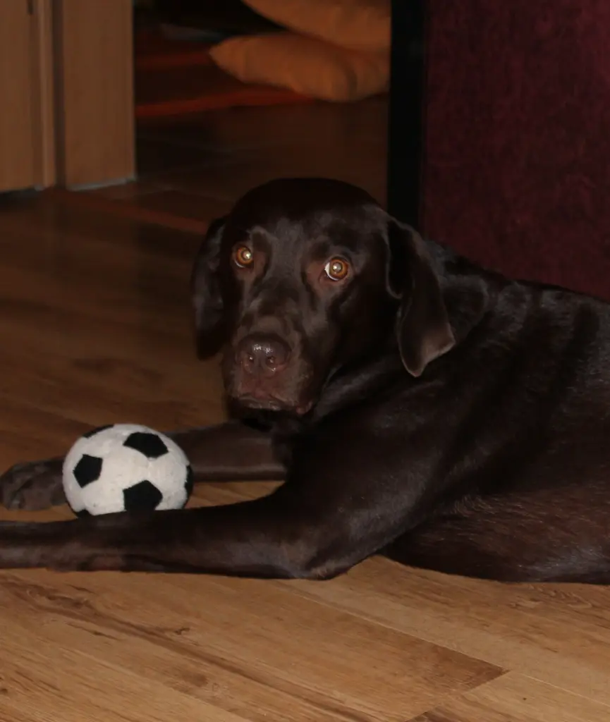 Condolence image of Silvana 