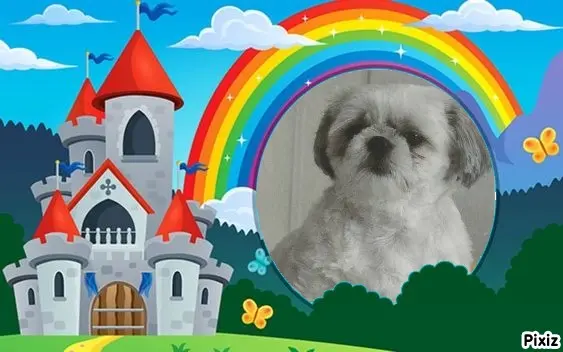 Condolence image of Tanja mit Timmy im Herzen 