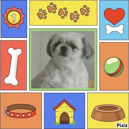 Condolence image of Tanja mit Timmy im Herzen 