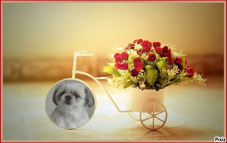 Condolence image of Tanja mit Timmy im Herzen 