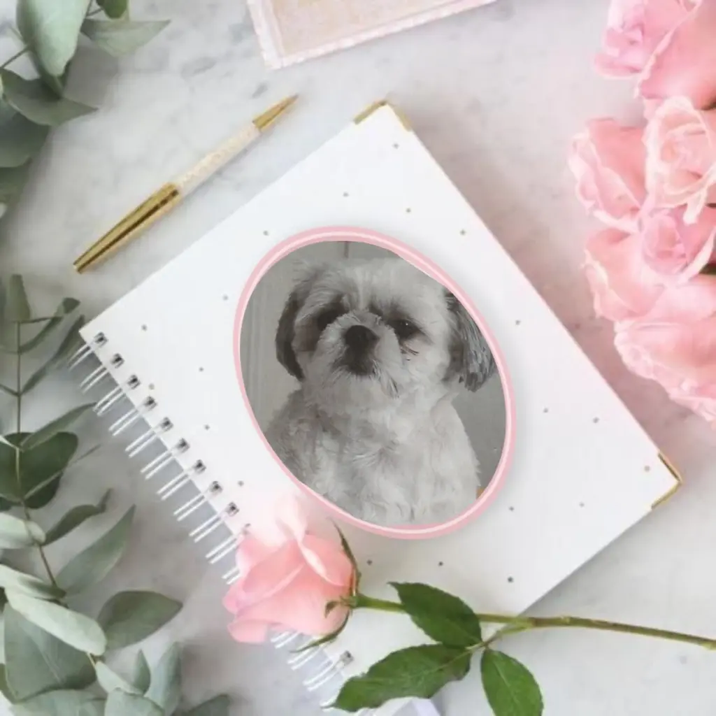 Condolence image of Gute Nacht❤️❤️❤️Mauschen❤️❤️❤️