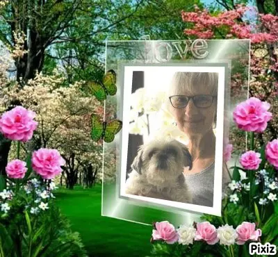 Condolence image of Tanja mit Timmy im Herzen 