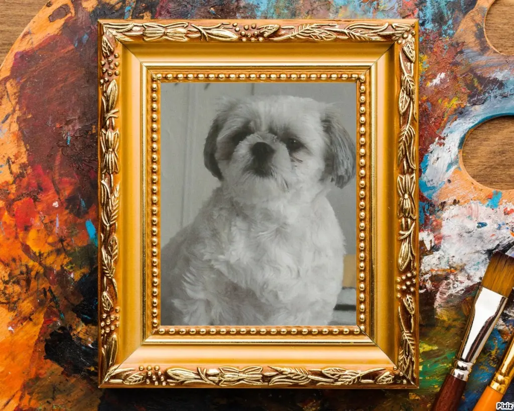 Condolence image of Tanja mit Timmy im Herzen 