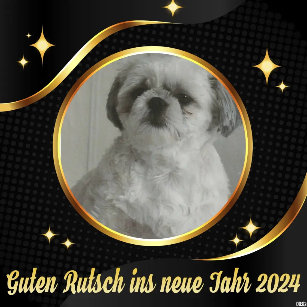 Condolence image of Tanja mit Timmy im Herzen 