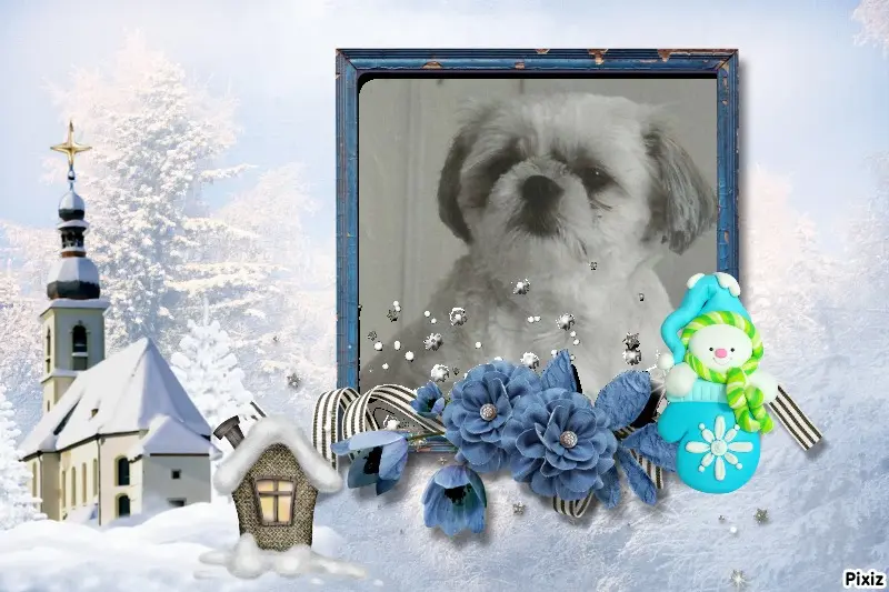 Condolence image of Tanja mit Timmy im Herzen 