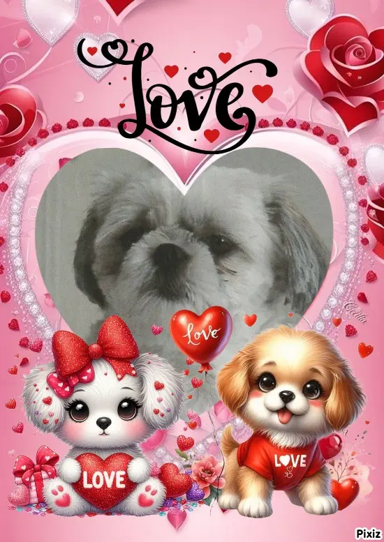 Condolence image of Tanja mit Timmy im Herzen 