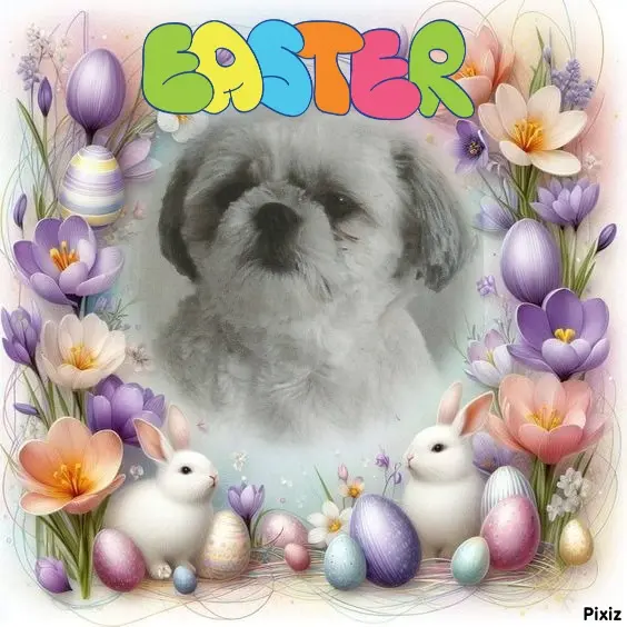 Condolence image of Tanja mit Timmy im Herzen