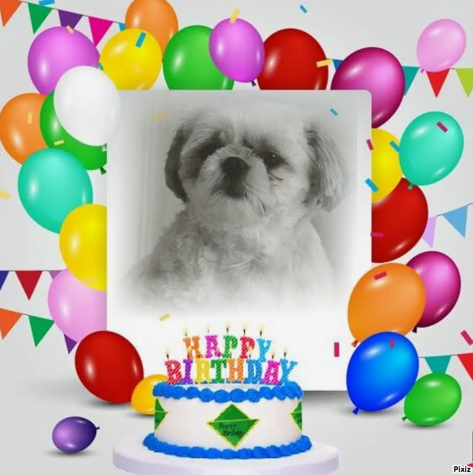 Condolence image of Tanja mit Timmy im Herzen